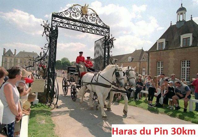 Bed and Breakfast Haras De La Croix D'Argent Saint-Sauveur-de-Carrouges Exterior foto